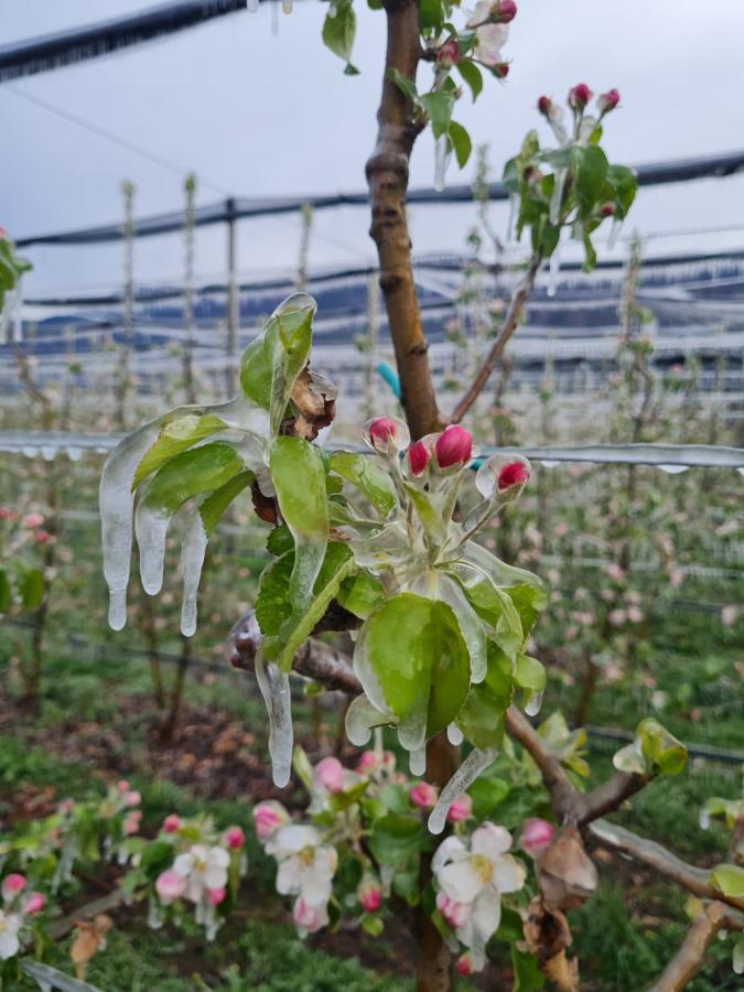 Versigglhof 阿皮亚诺苏拉斯特拉达 外观 照片
