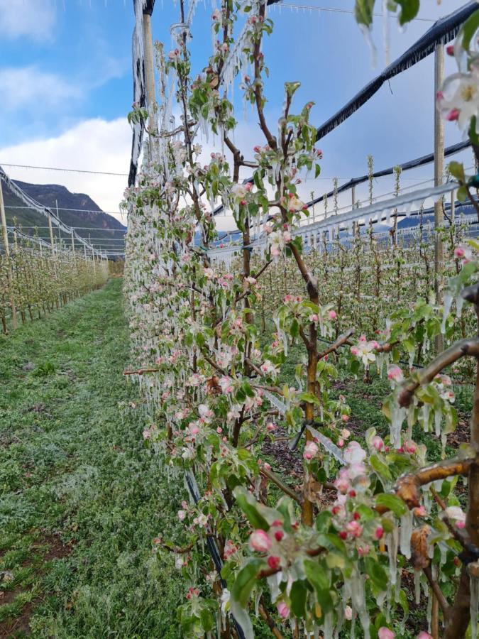 Versigglhof 阿皮亚诺苏拉斯特拉达 外观 照片